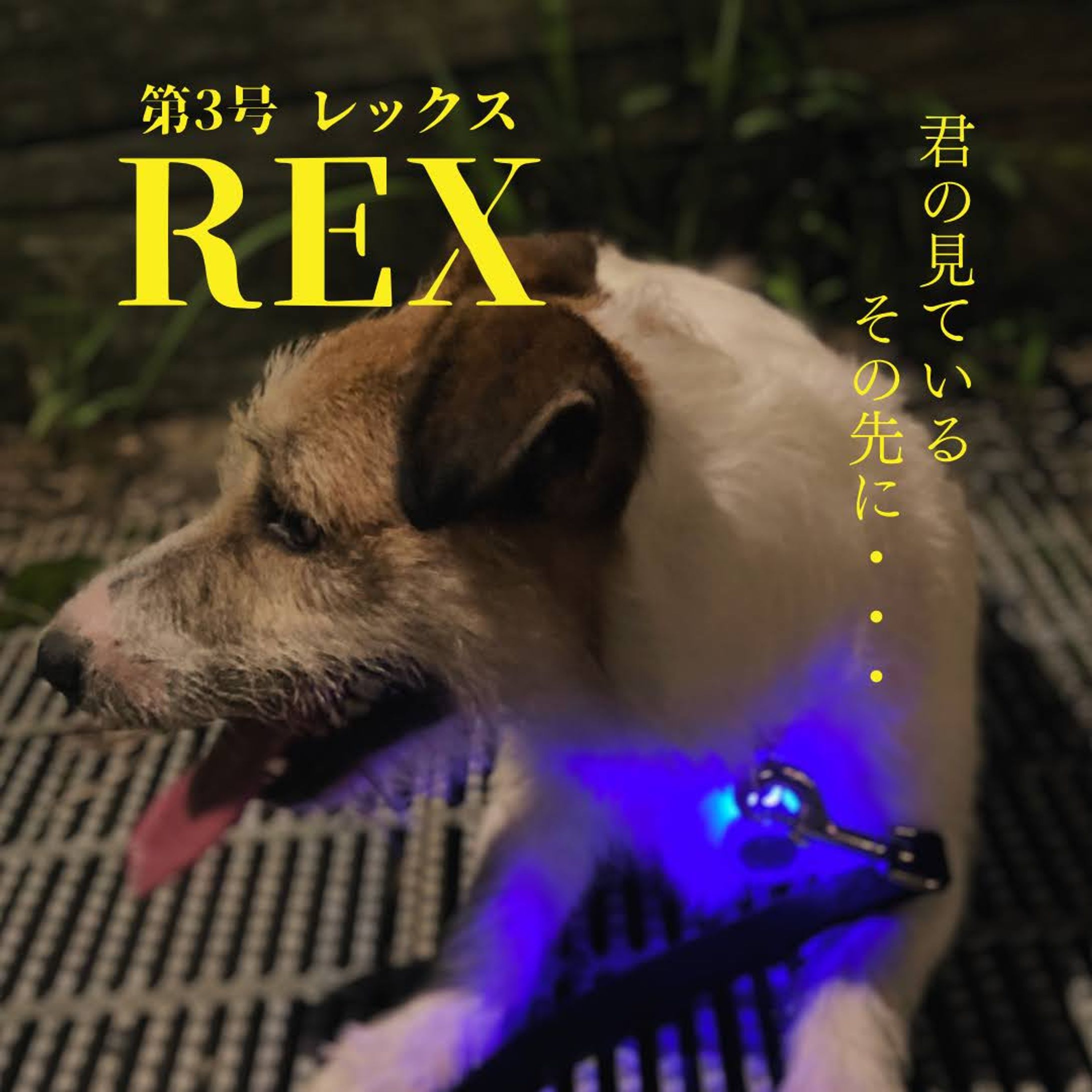 Canva/雑誌風デザイン（3）-1