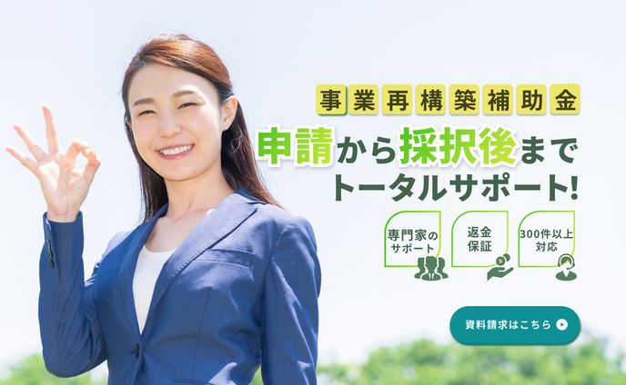 【自主制作】補助金・ファーストビュー