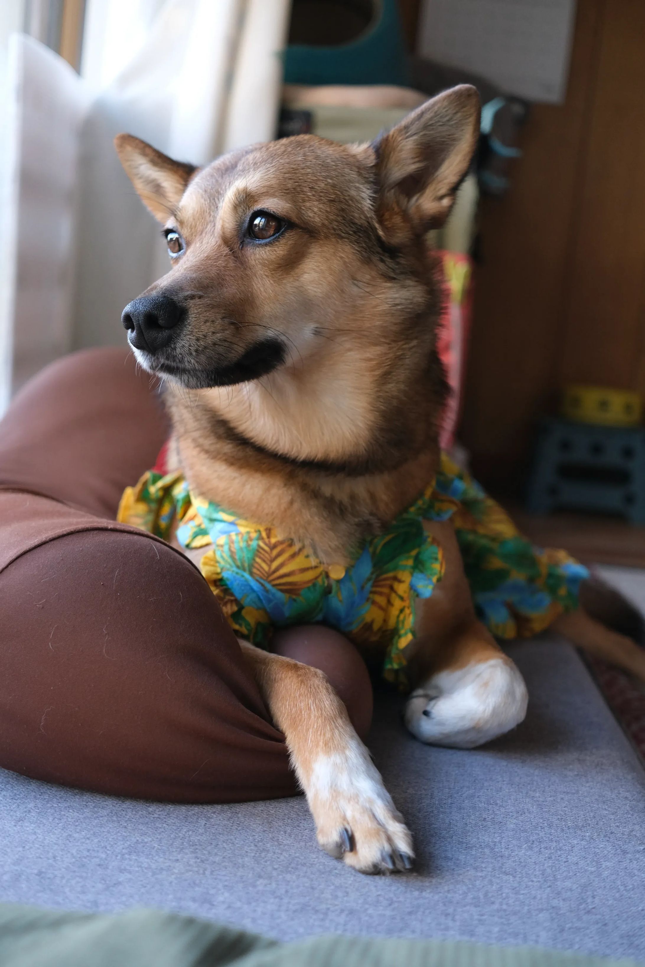 モチーフを選んだ理由