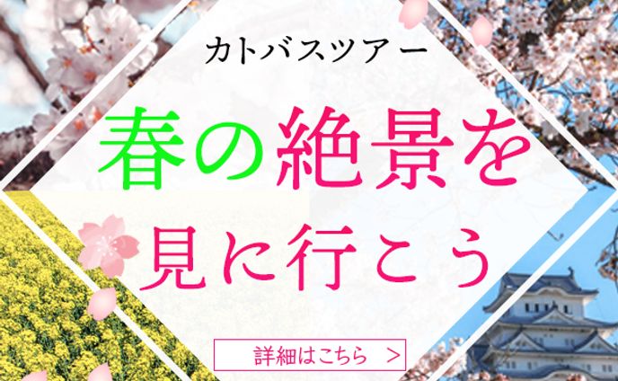 バナー：春のバスツアー