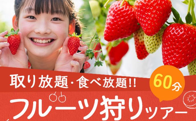 バナー：フルーツ狩りツアー