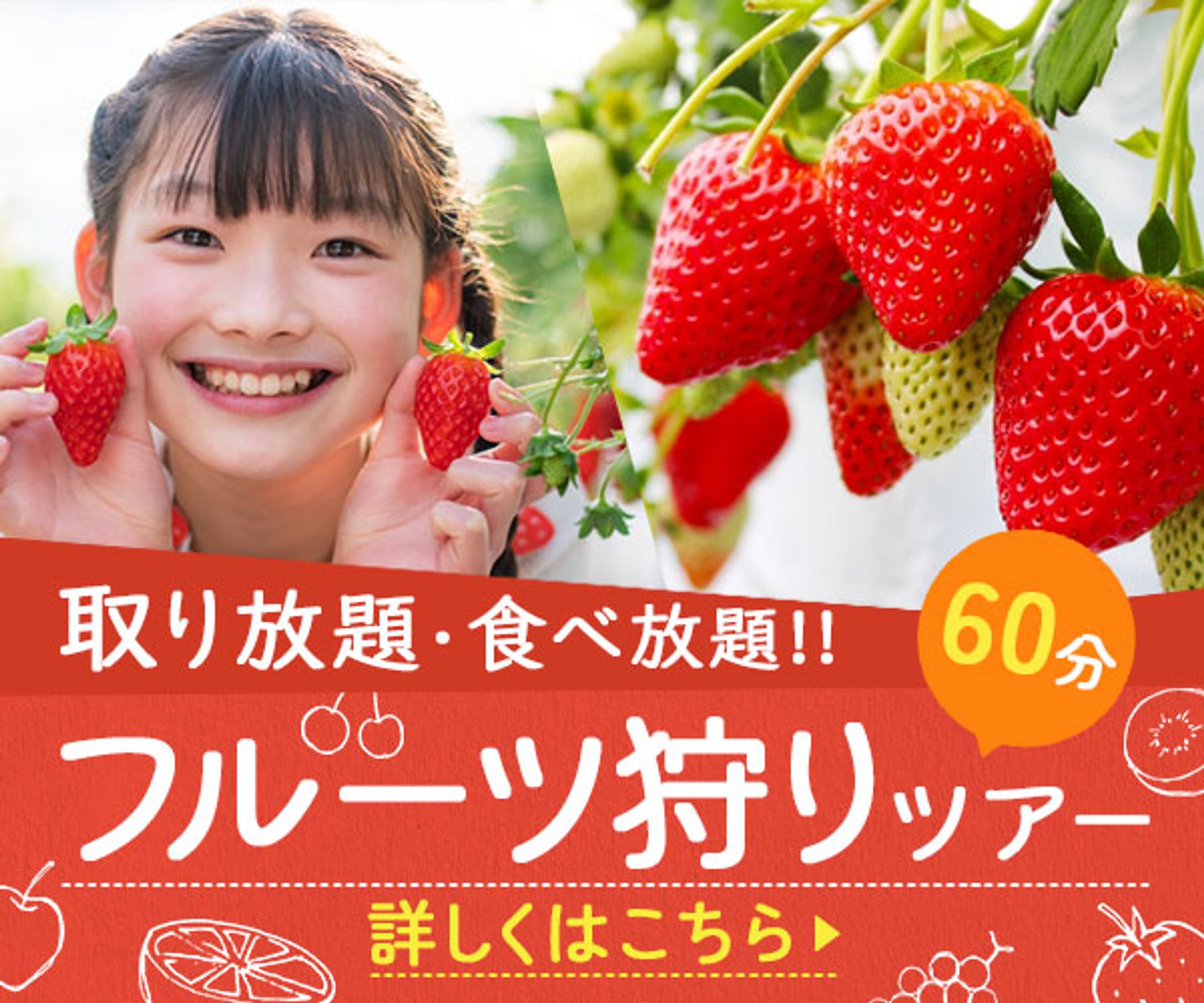 バナー：フルーツ狩りツアー-1