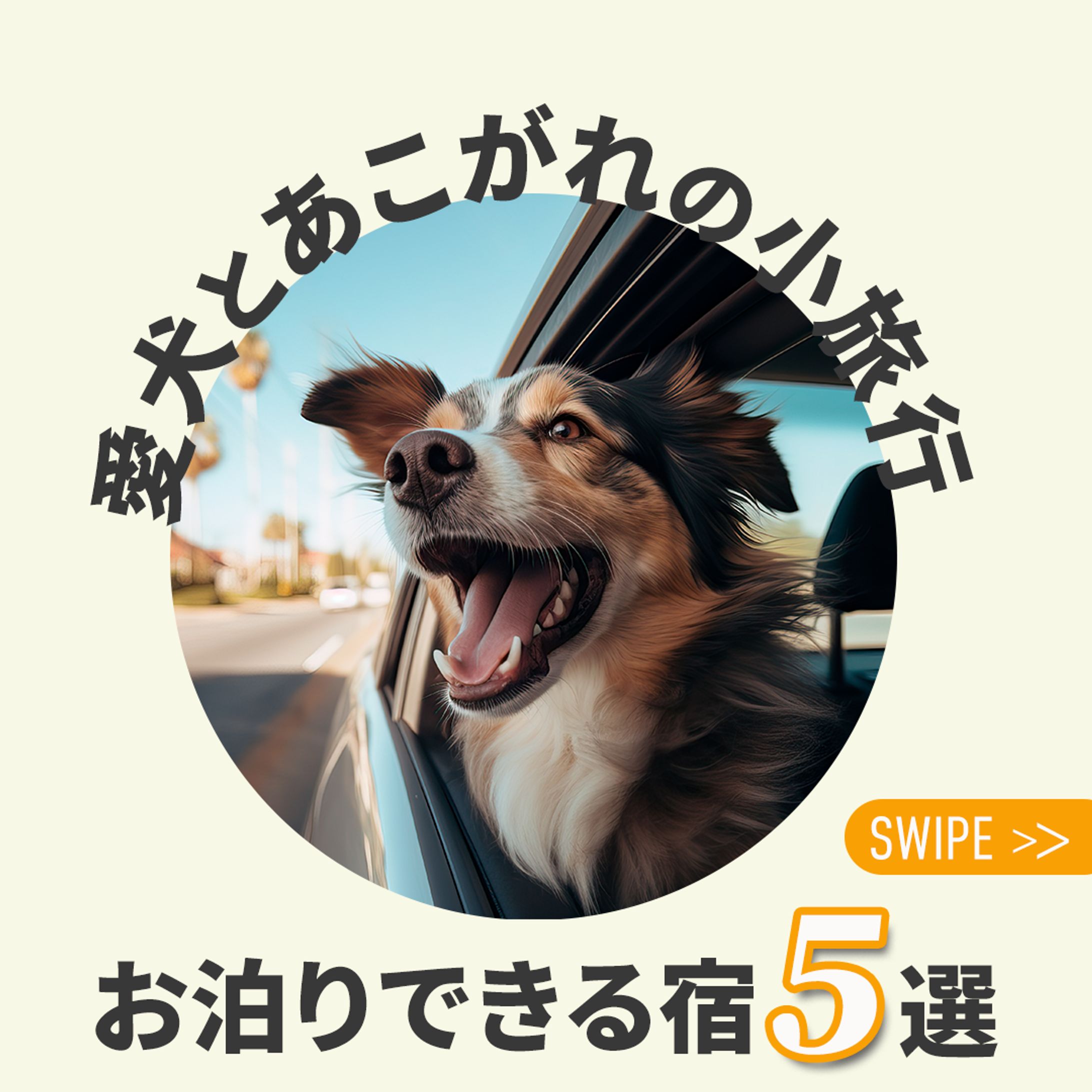 愛犬との小旅行　インスタグラム画像-1