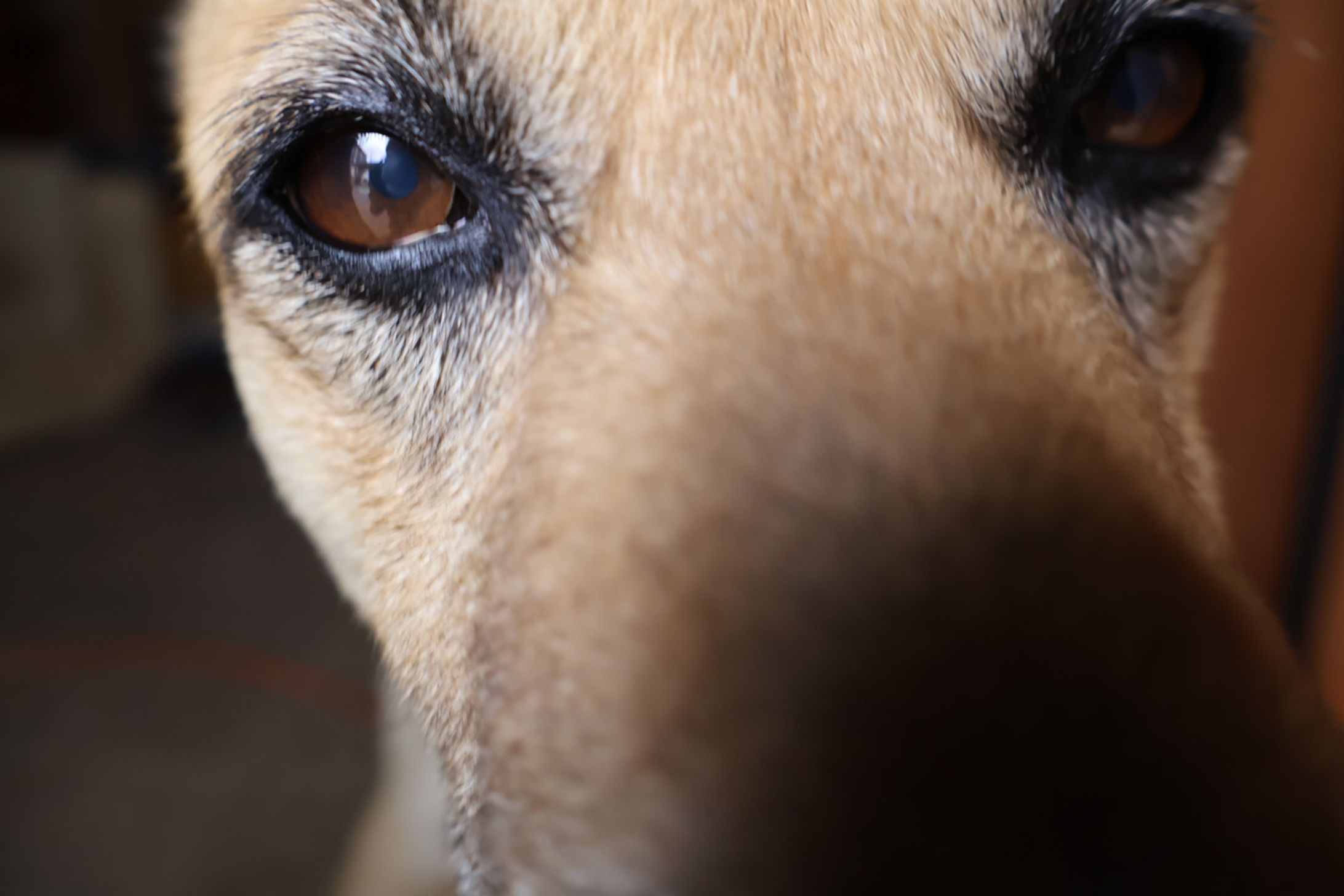 撮影した写真-1