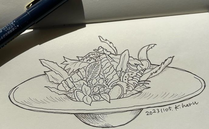 #グリーンサラダ　　#salad #greensalad #フードイラスト #foodinstagram #foodillustration #illustration #スケッチ #sketch #drawing #文房具 #stationery #drawing #絵日記 #大阪グルメ #fooddiary  #fooddrawing #pensketch #sketchjournal #ペンスケッチ #スケッチジャーナル #線画 #線画イラスト #挿絵 #カットイラスト #ペン画 #ドローイング