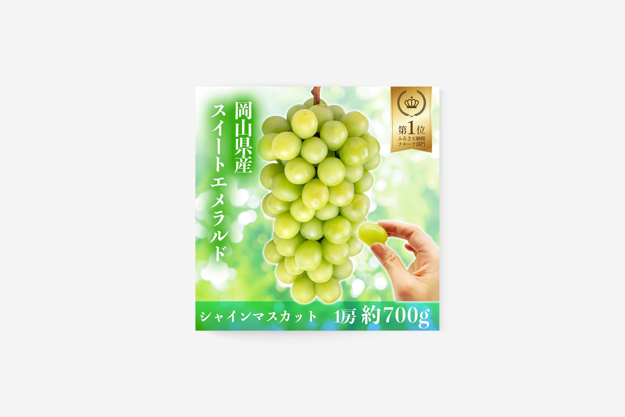 商品画像：ふるさと納税返礼品 シャインマスカット-1