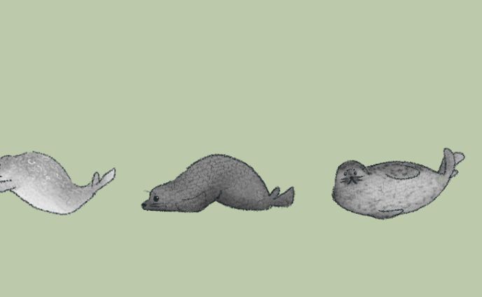 デジタルイラスト