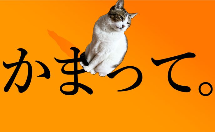 動物・エンタメ系