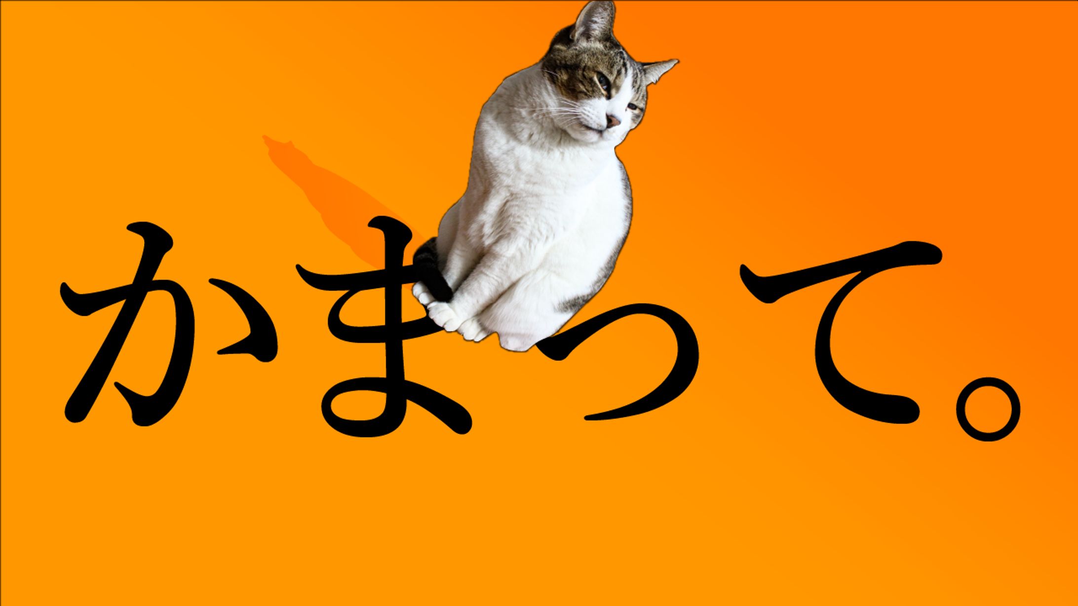 動物・エンタメ系-1