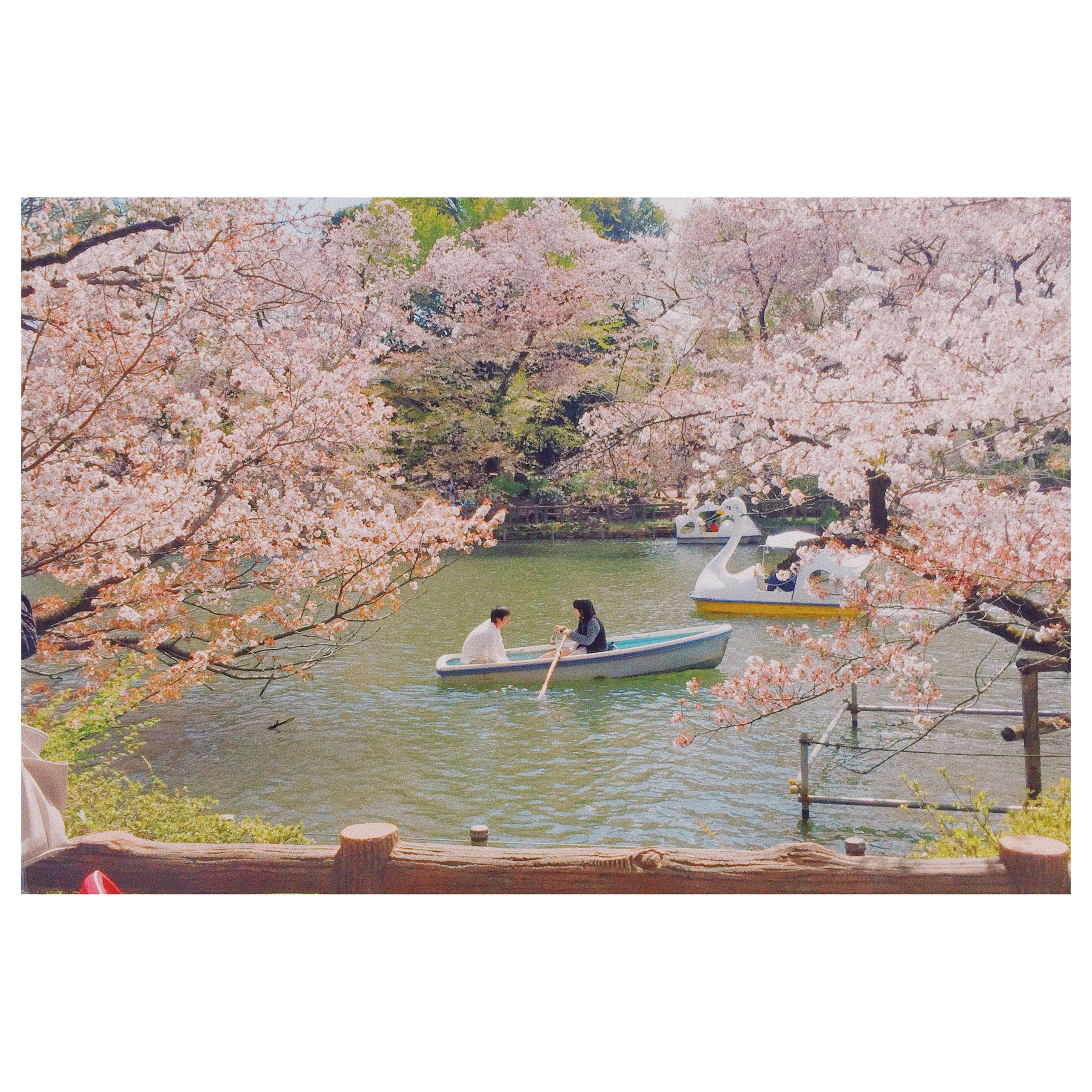 35mm film [ 2019.04.18 ]-1