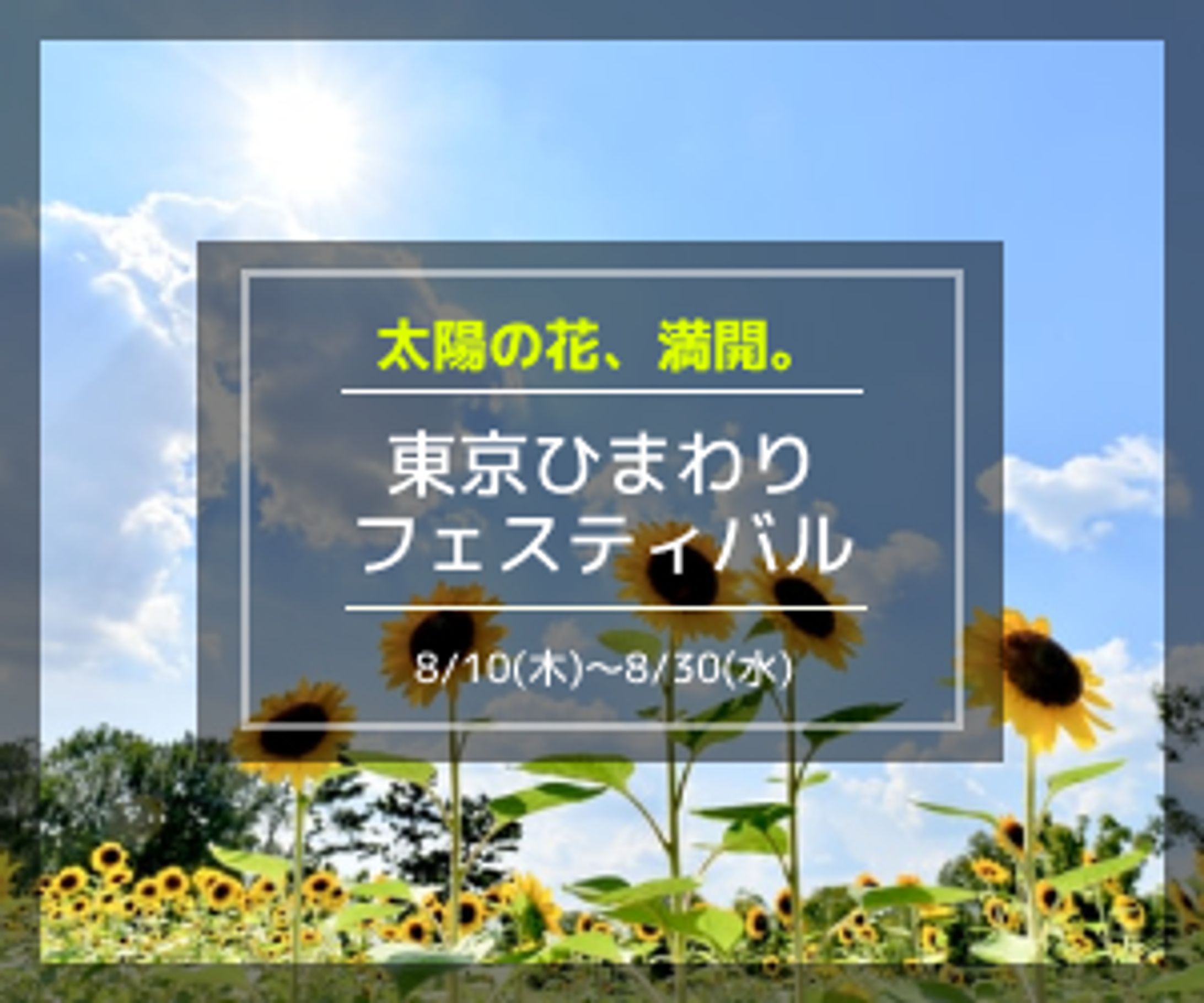 【バナー】フェスティバル-1