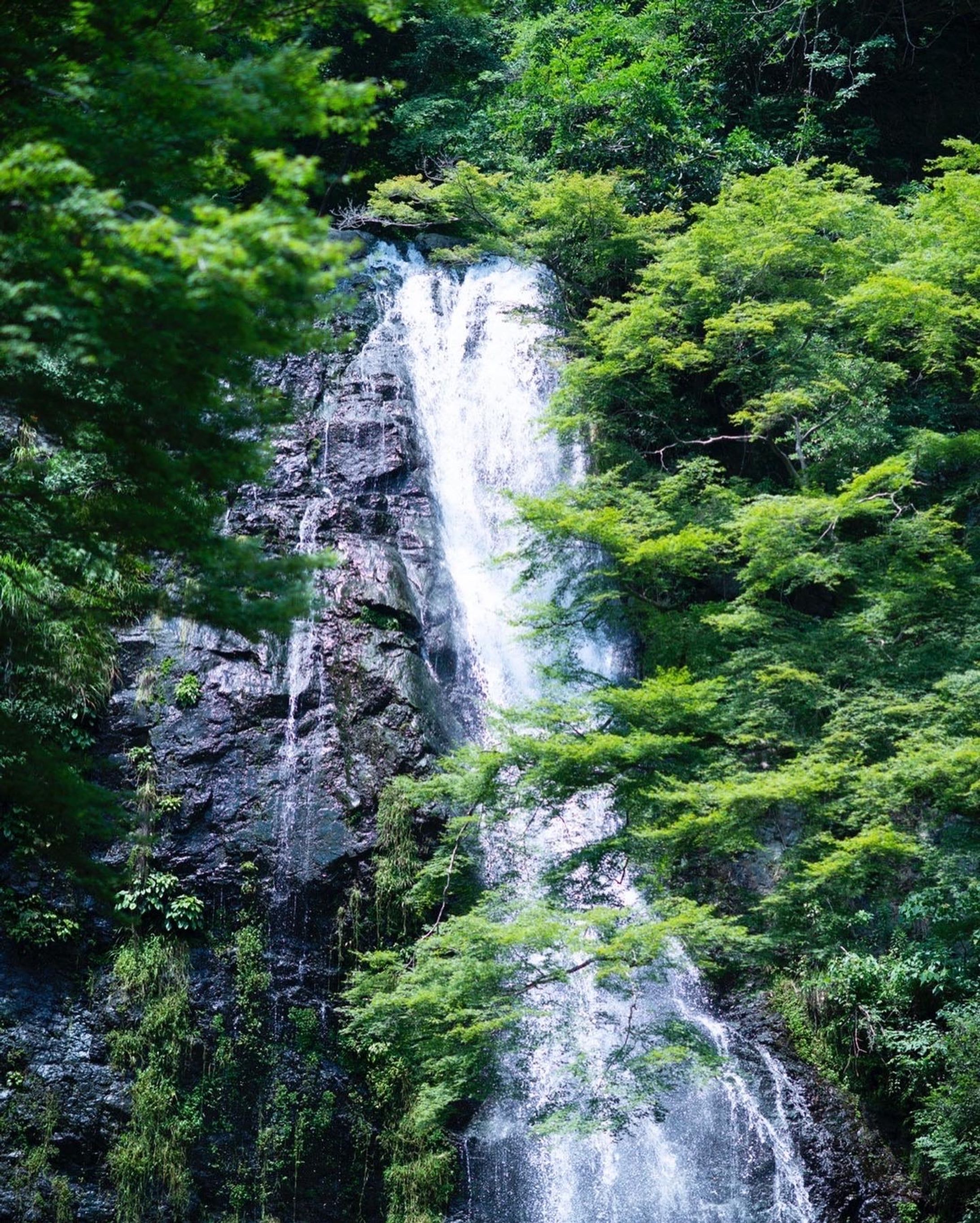 滝-1