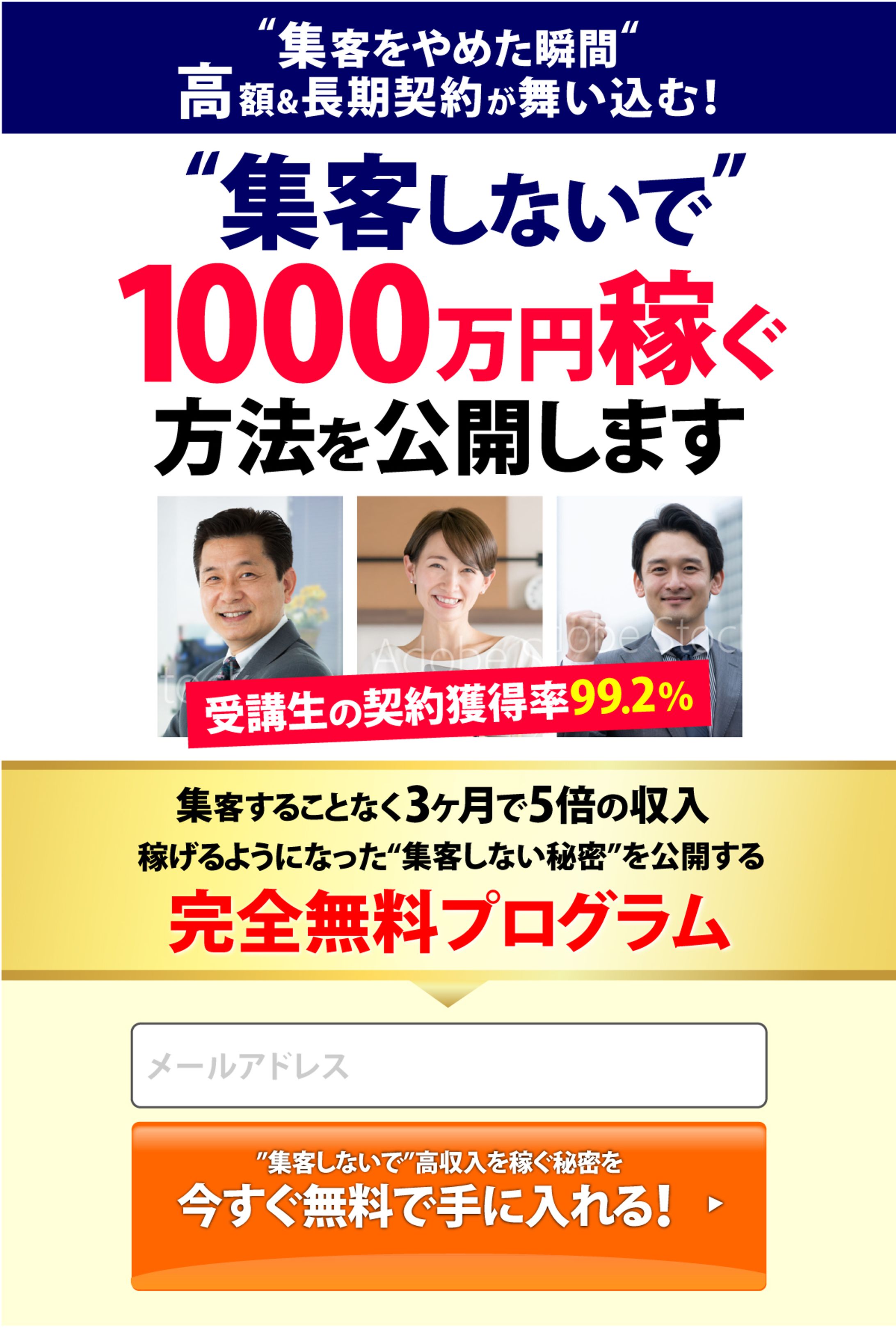 コンサルタントのオプトインページ-1