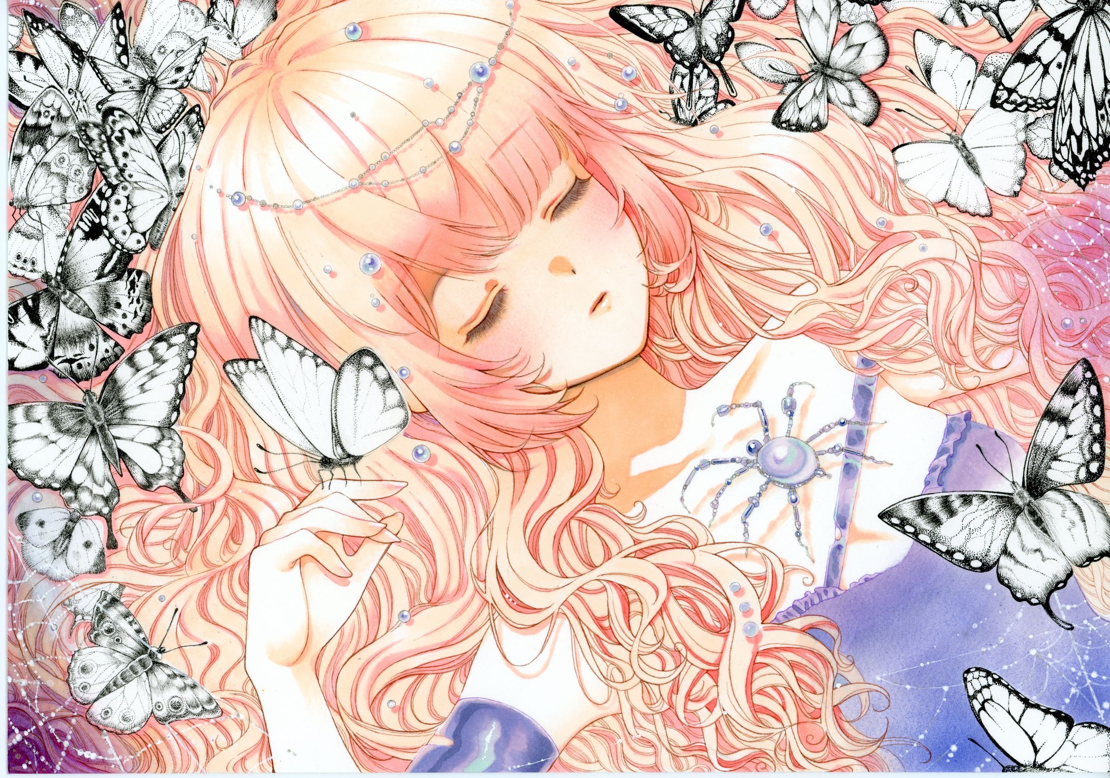 ちょうちょう-1