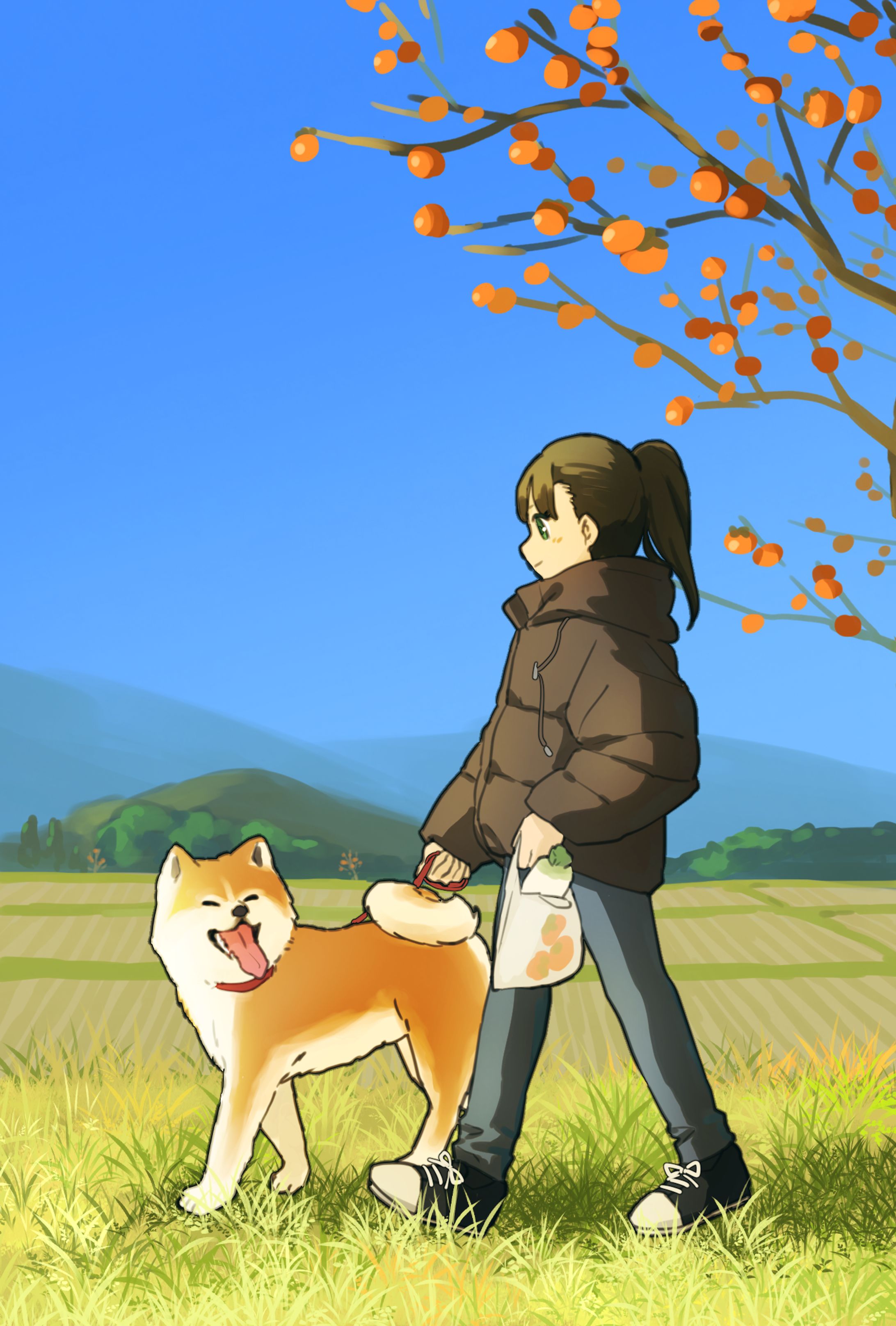 柿漬け作ろう-1