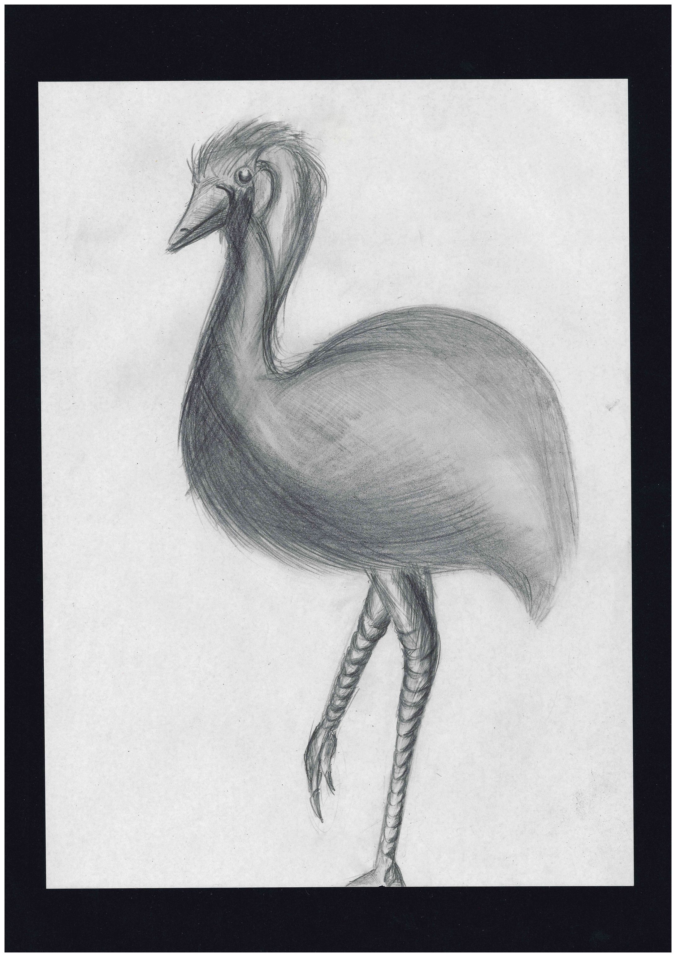 動物園でのスケッチ-1