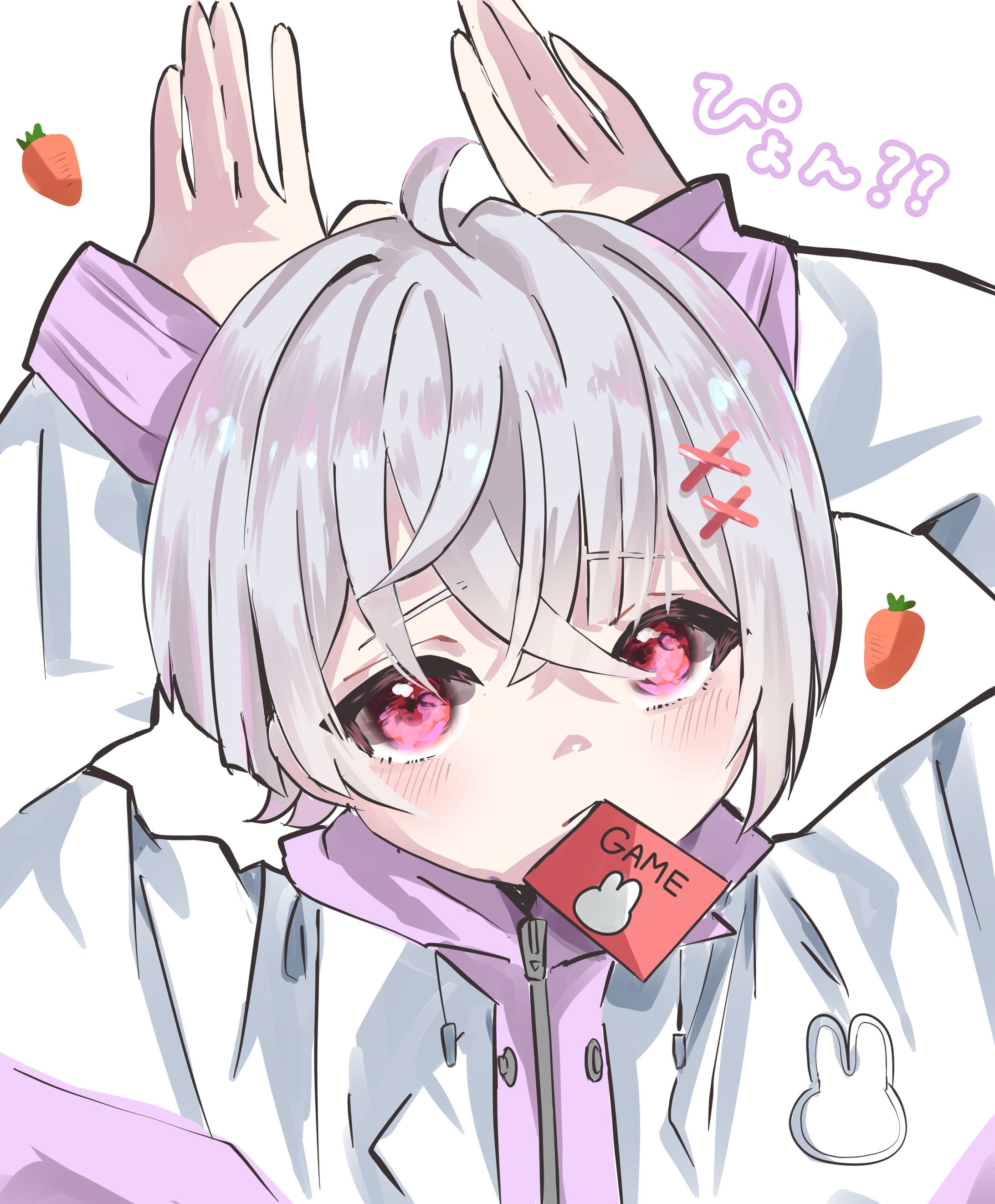 ノア　うさぎ-1