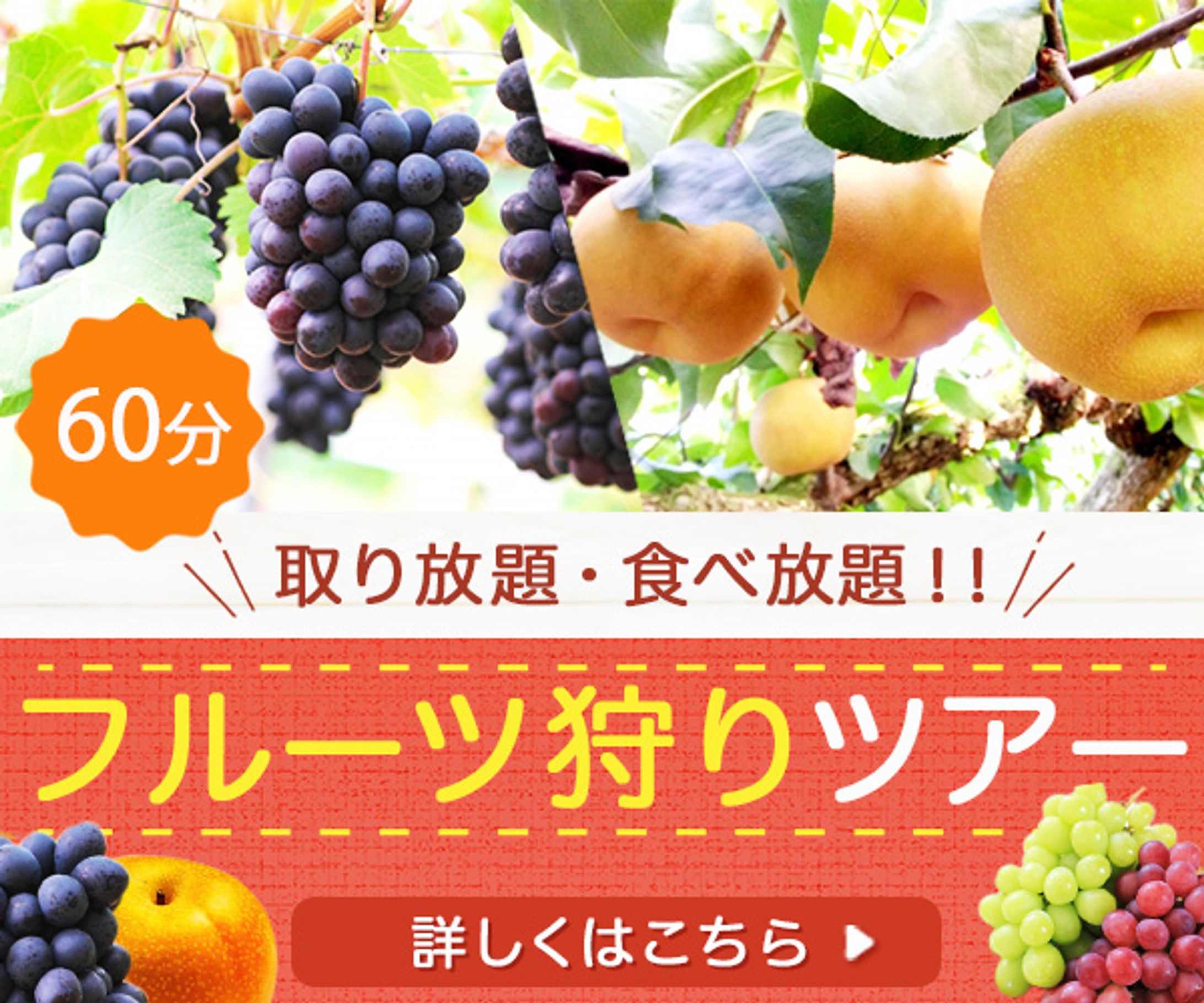 フルーツ狩り-1