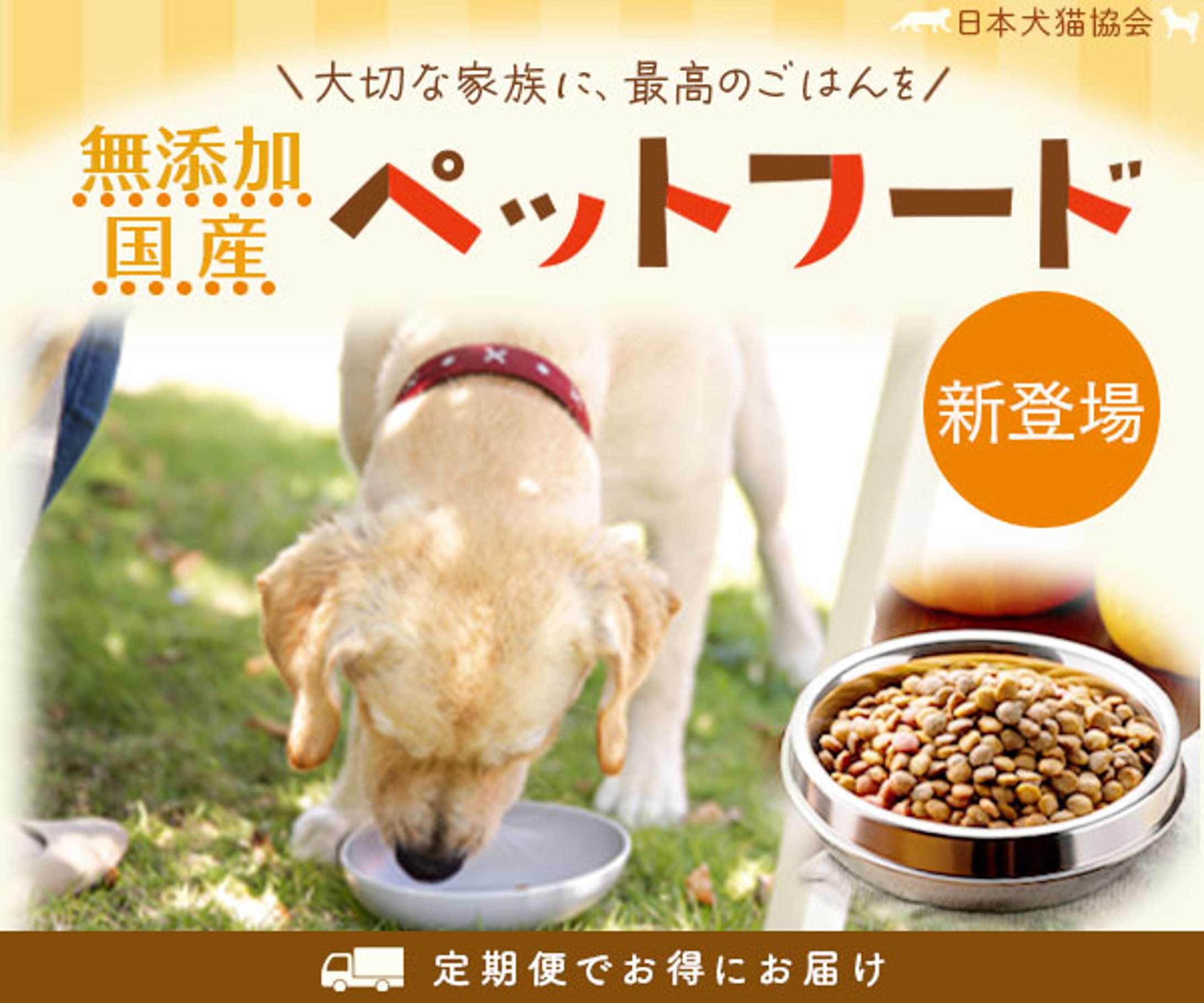 バナー：ペットフード（架空案件）-1