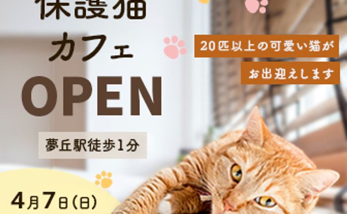 バナー : 保護猫カフェ