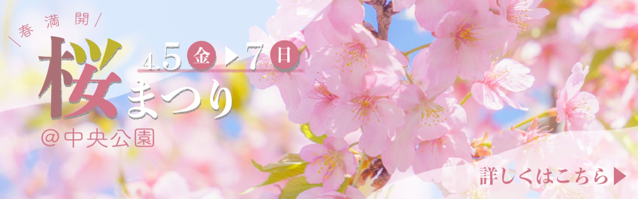 桜まつりバナー-1
