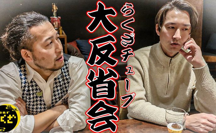 サムネイル、high voltage busbar insulator