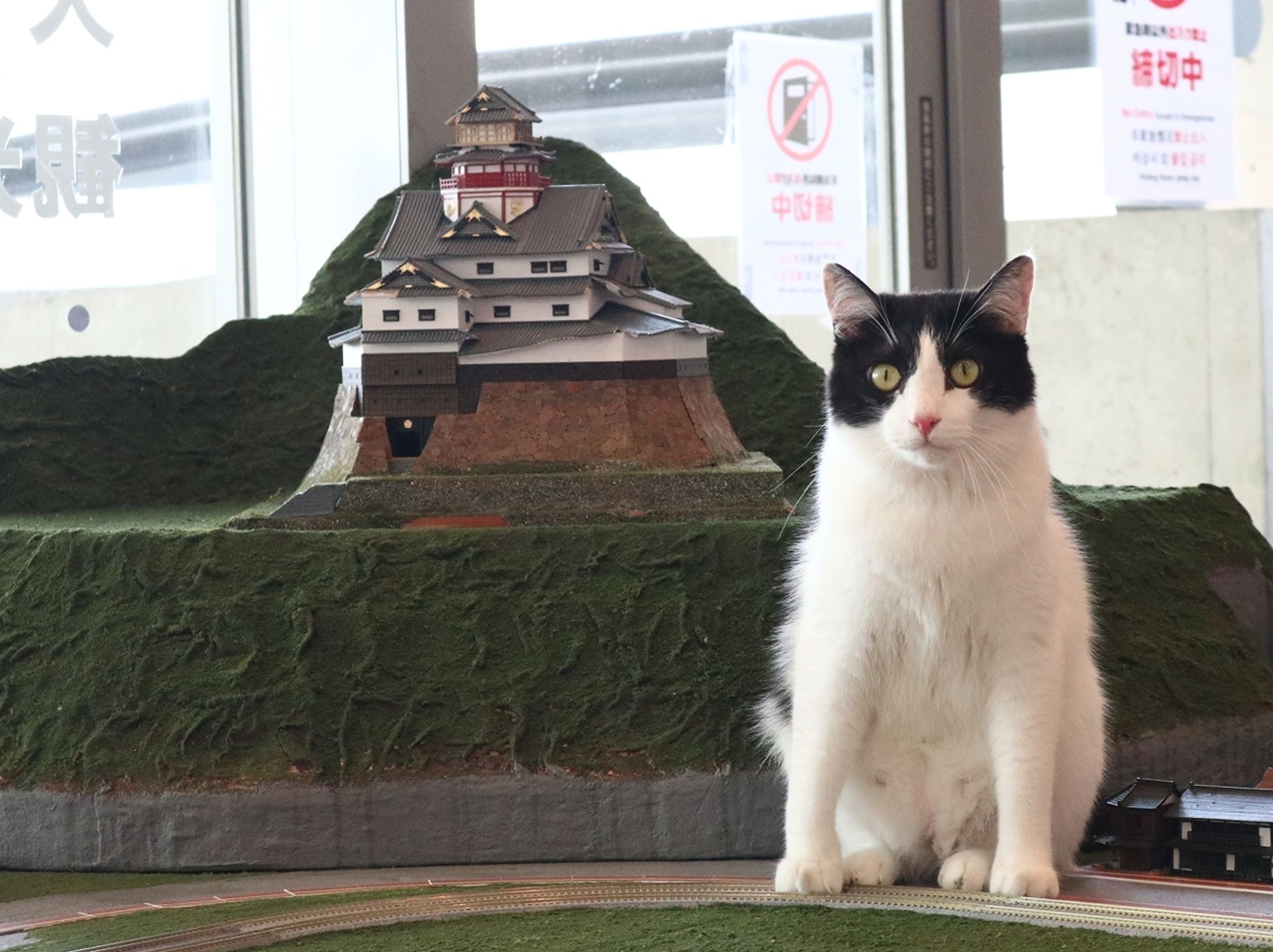 安藤忠雄氏設計の名建築が…“猫の楽園”に！？　鉄道模型の世界で遊ぶ猫たちで有名な「ジオラマ食堂」に新展開-1
