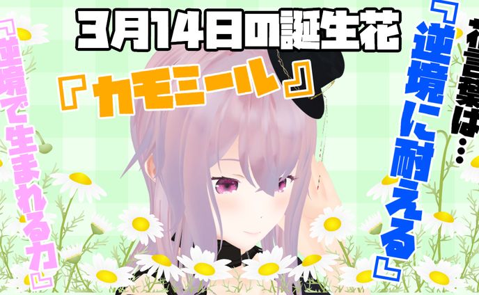 3月14日
