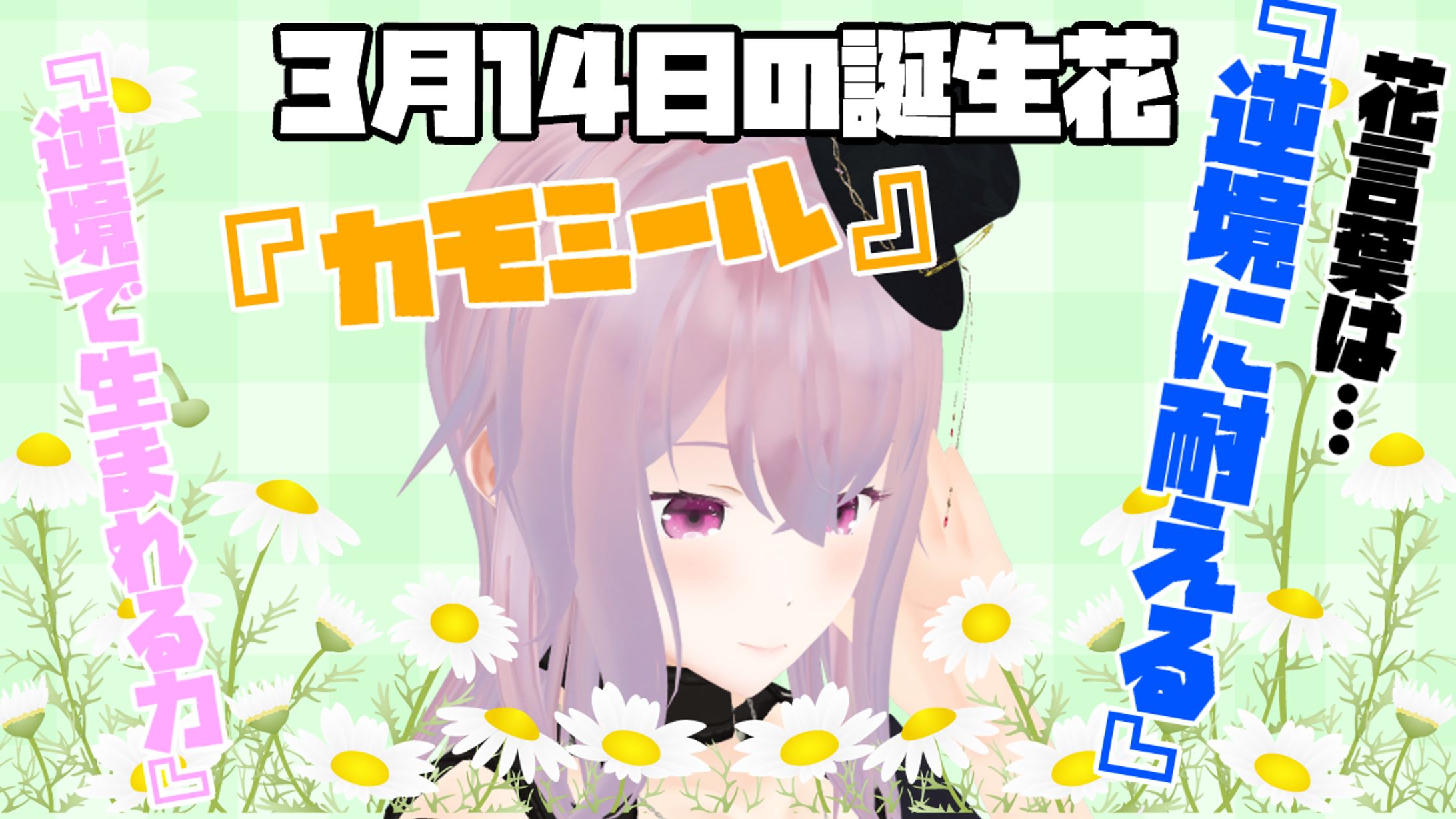 3月14日-1
