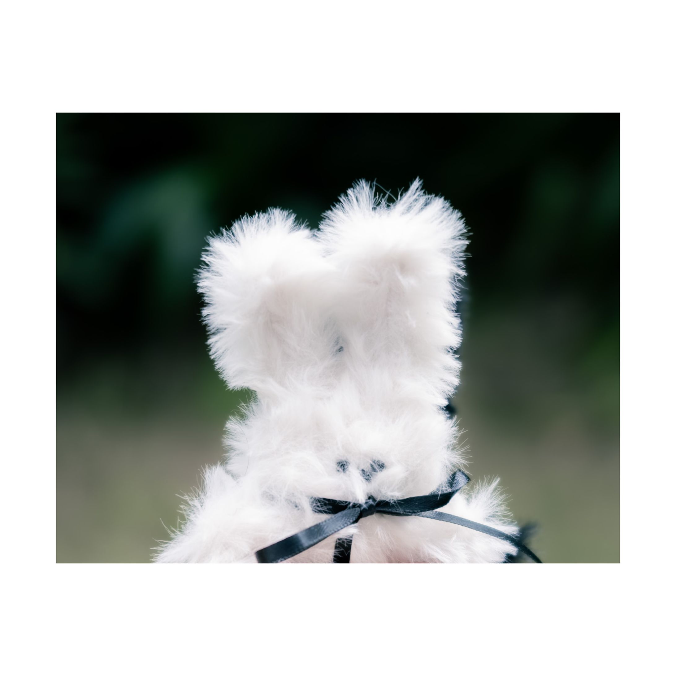 oppression/doll-1