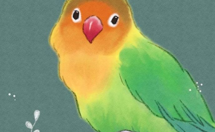 動物たち