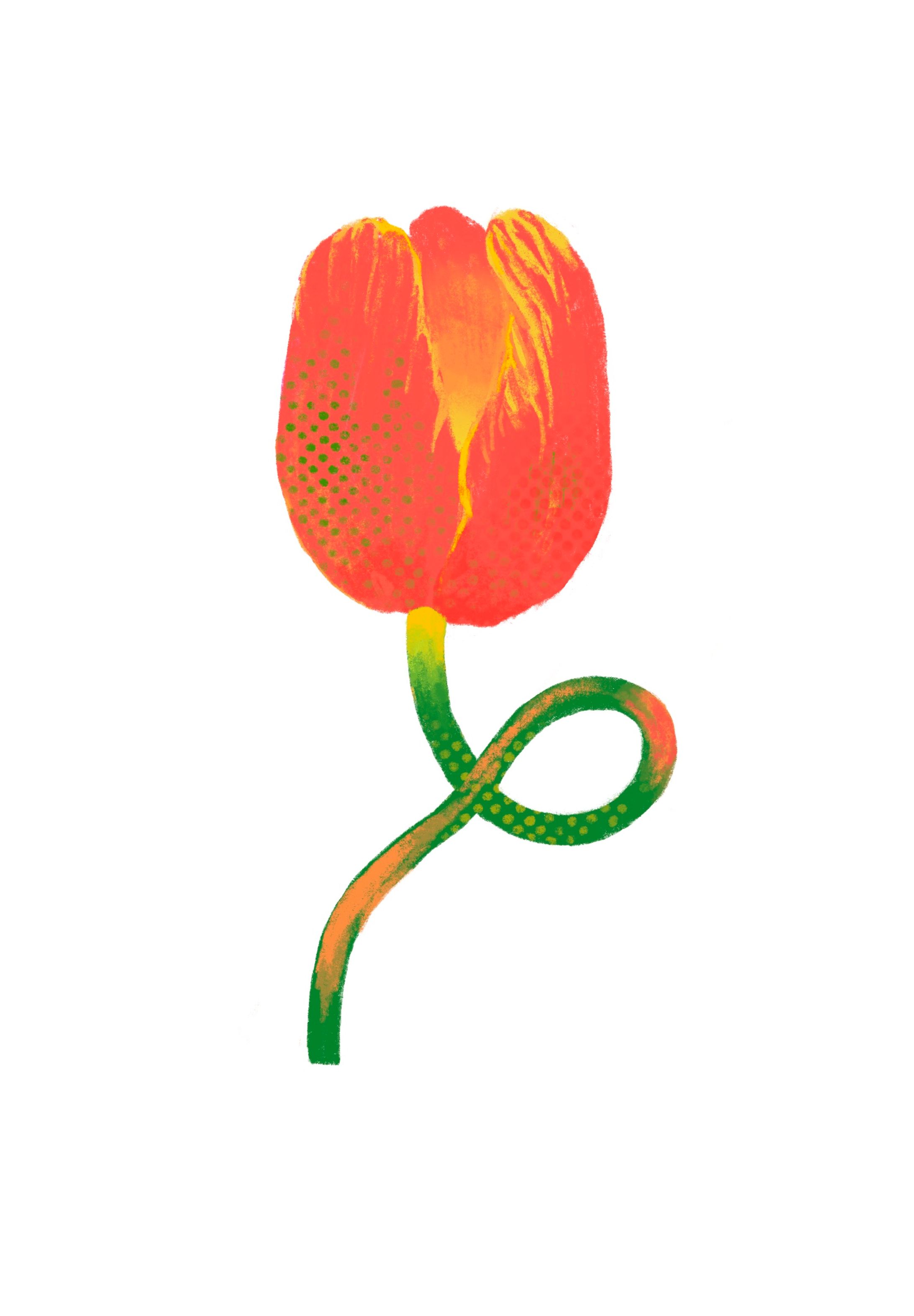 illustration 2-1