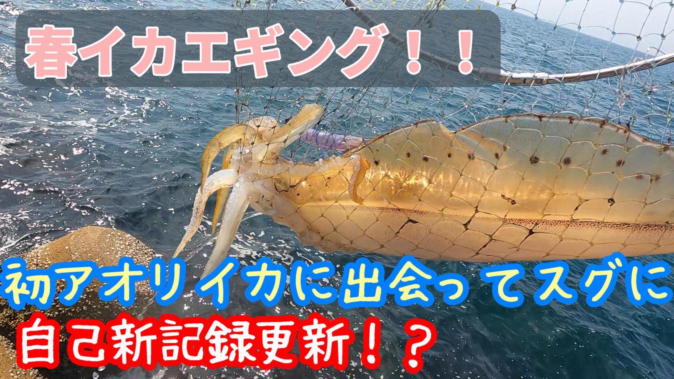 YouTubeサムネイル-1