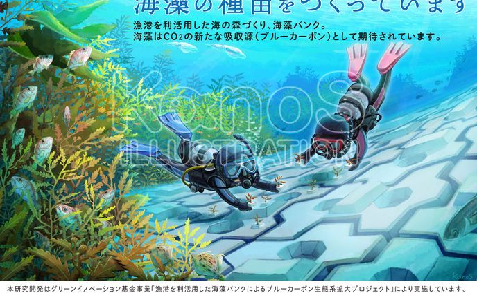 【看板イラスト】グリーンイノベーション基金事業海藻バンク【三省水工株式会社】