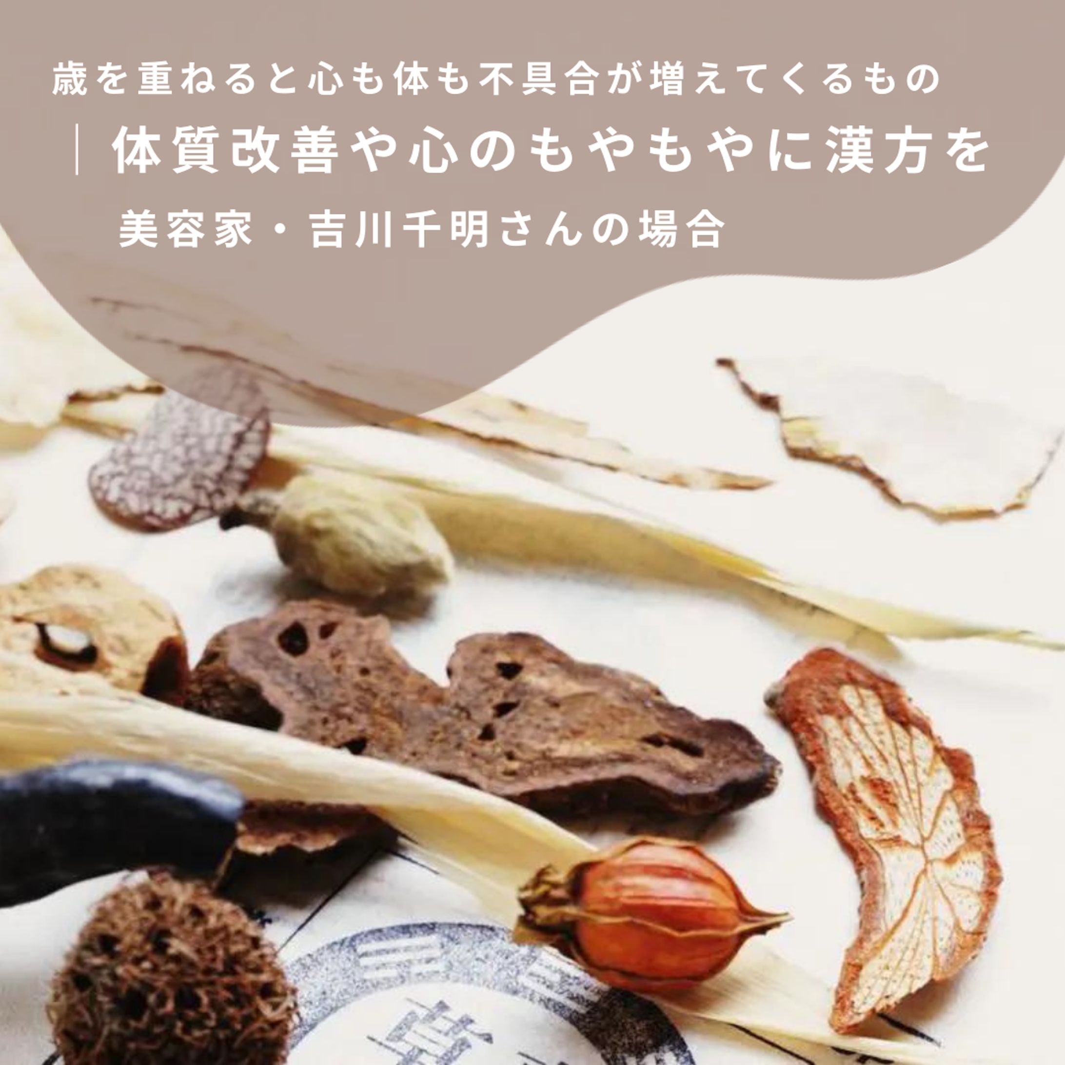 WeSAY 漢方記事-1