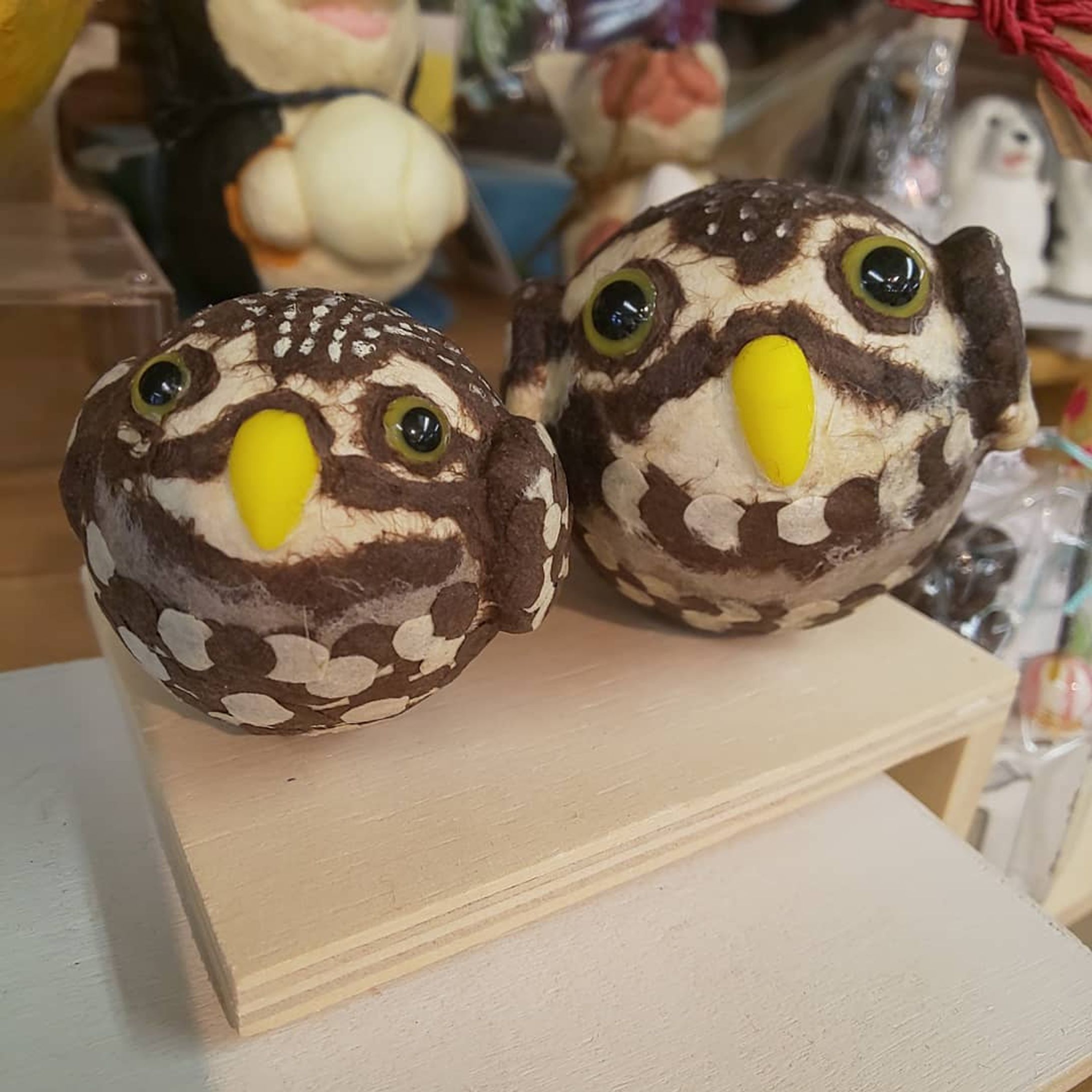 納品行って来ました🙋🎶
真夏のうちはなかなか暑くて作業はかどらず…😆💦

それでも新作を😉おすすめはコキンメちゃん🦉
家族からはスズメのようだと💦

少し配置も替えてみたのでアレコレ見てやって下さいね❗️☺️
#コキンメフクロウ #おきあがりこぼし #ダックス#動物ハンドメイド#ハンドメイド雑貨R #ハンドメイド委託販売#岡山ハンドメイド#アメリカンコッカー#いぬすたぐらむ #動物マルシェ-1