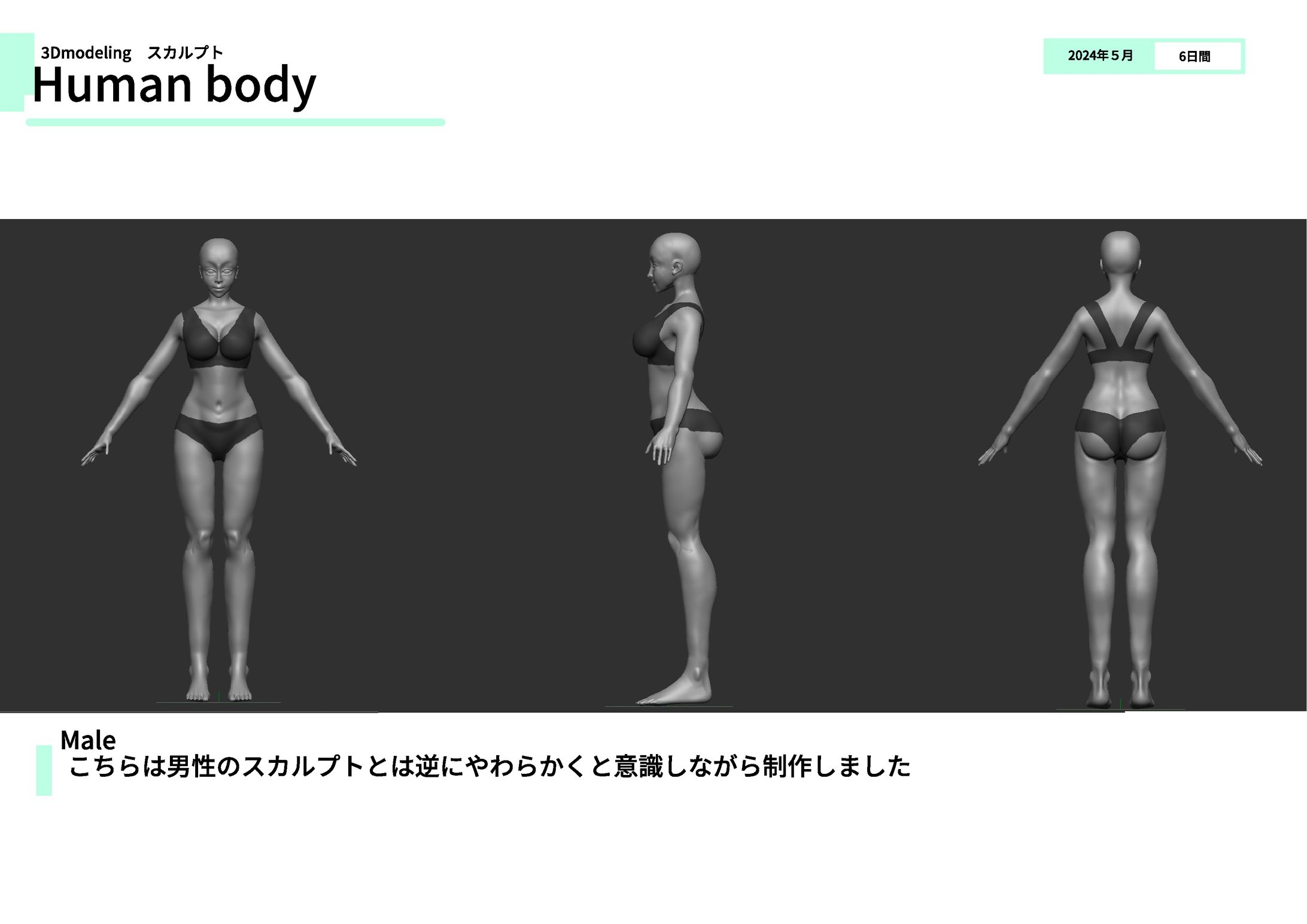 人体-1