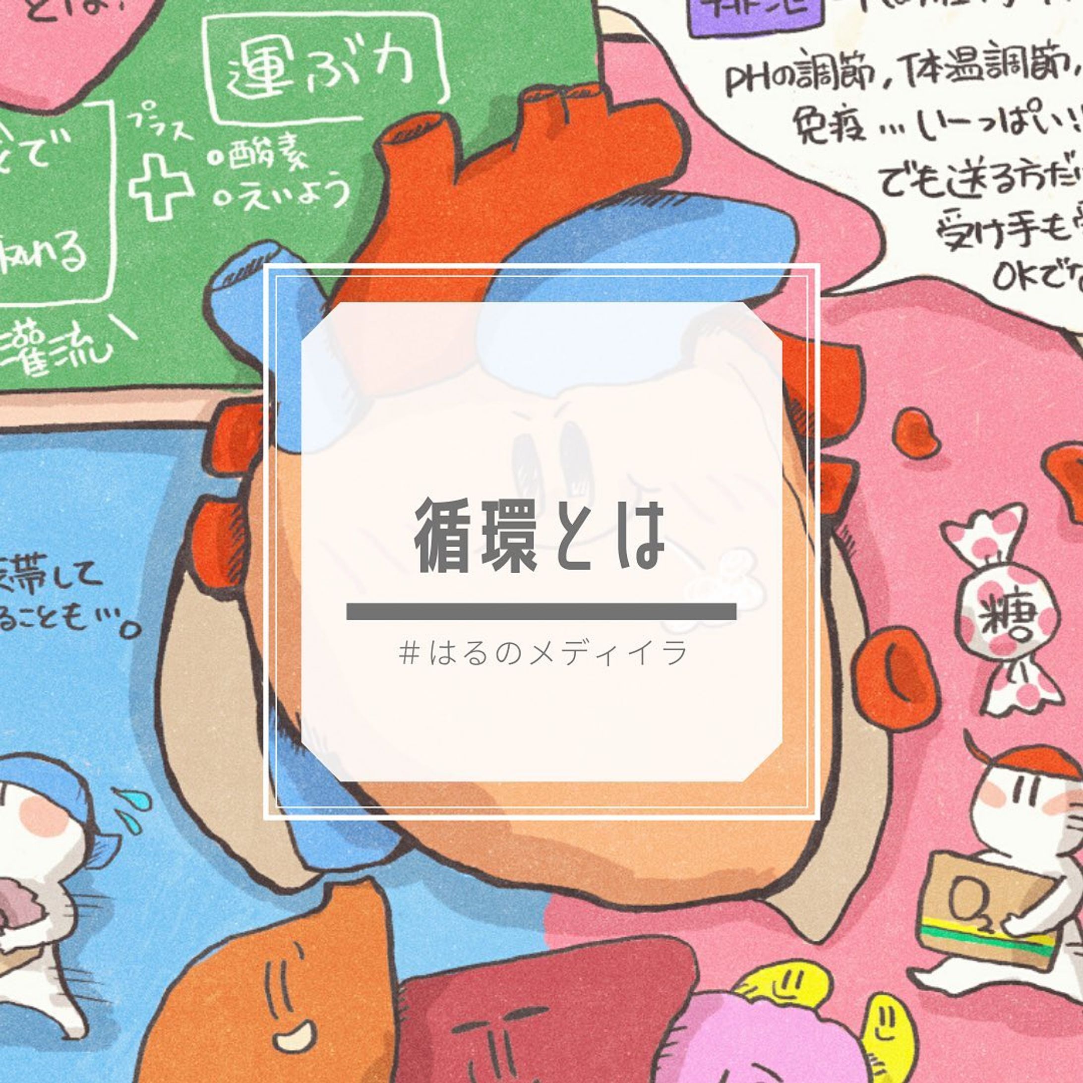 お久しぶりです。
実はメディカルイラストを勉強しようと思って、勉強を進めています。

Twitterの方にも書いたんですけど、半年お休みをいただいて、そこから復帰してて半年過ぎたのですが…その中で色々と考える期間があって、その中で以前から興味があったメディカルイラストの第一人者の方や海外でも活躍している日本のメディカルイラストレーターさんに憧れて、私ももう一度絵をやってみようかなと思った感じです。

また、iPad proとApple Pencilというツールだけでも、看護師の仕事しながらでも、こんな働き方ができるんだよ！というところを、看護学生さんや働いている看護師さんにもお伝えして行って、少しでも働き方の選択肢が広まればいいなと思って始めました。

3枚目は参考にした本ですので、是非皆さん気になったら試し読みしてみてください！日総研のものは絶版になっております、、、😭💦

今後は臨床の勉強や、勉強方法についても投稿は行っていこうと思っています。

兎にも角にも恥ずかしいけどリバビリがてらもちもち絵を描いていこう！と、iPad pro片手に5年ぶりくらいにPhotoshopと向き合っています。

何かこのイラストを描いて欲しい！などありましたらコメントからお気軽にリクエストいただけたらと思います！

#看護師の勉強垢 
#はるのメディイラ
#イラスト練習 
#iPad勉強法

#potofu-1