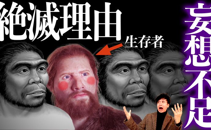 映像、リッチメニュー