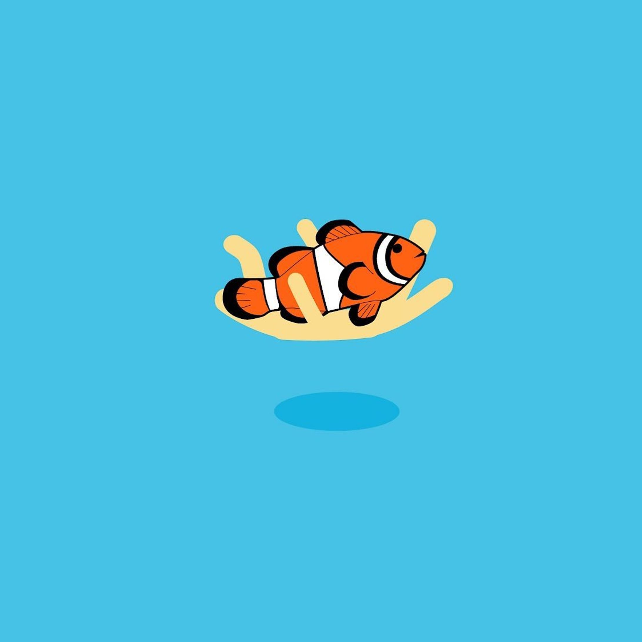 カクレクマノミ-1
