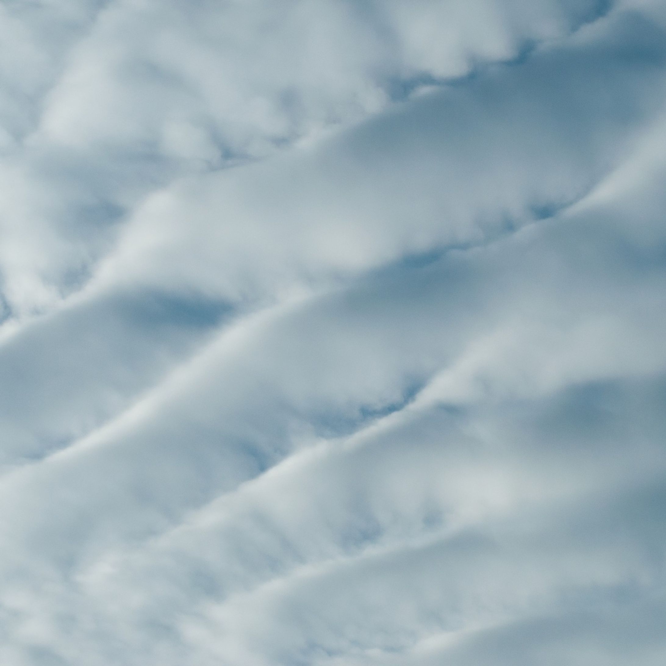イマソラ #空 #青空 #いまそら #イマソラ #天気 #雲 #ひこうき雲 #自然 #今日の空 #ファインダー越しの私の世界 #写真好きと繋がりたい #空好きと繋がりたい
#カメラ好きと繋がりたい #長野県 #信州 #sky #skyblue #sky_love #skylove #skylover #skylovers #skyporn #skysnappers #sky_captures #cloud #clouds #blue
#Nikon#D60#D5000-1
