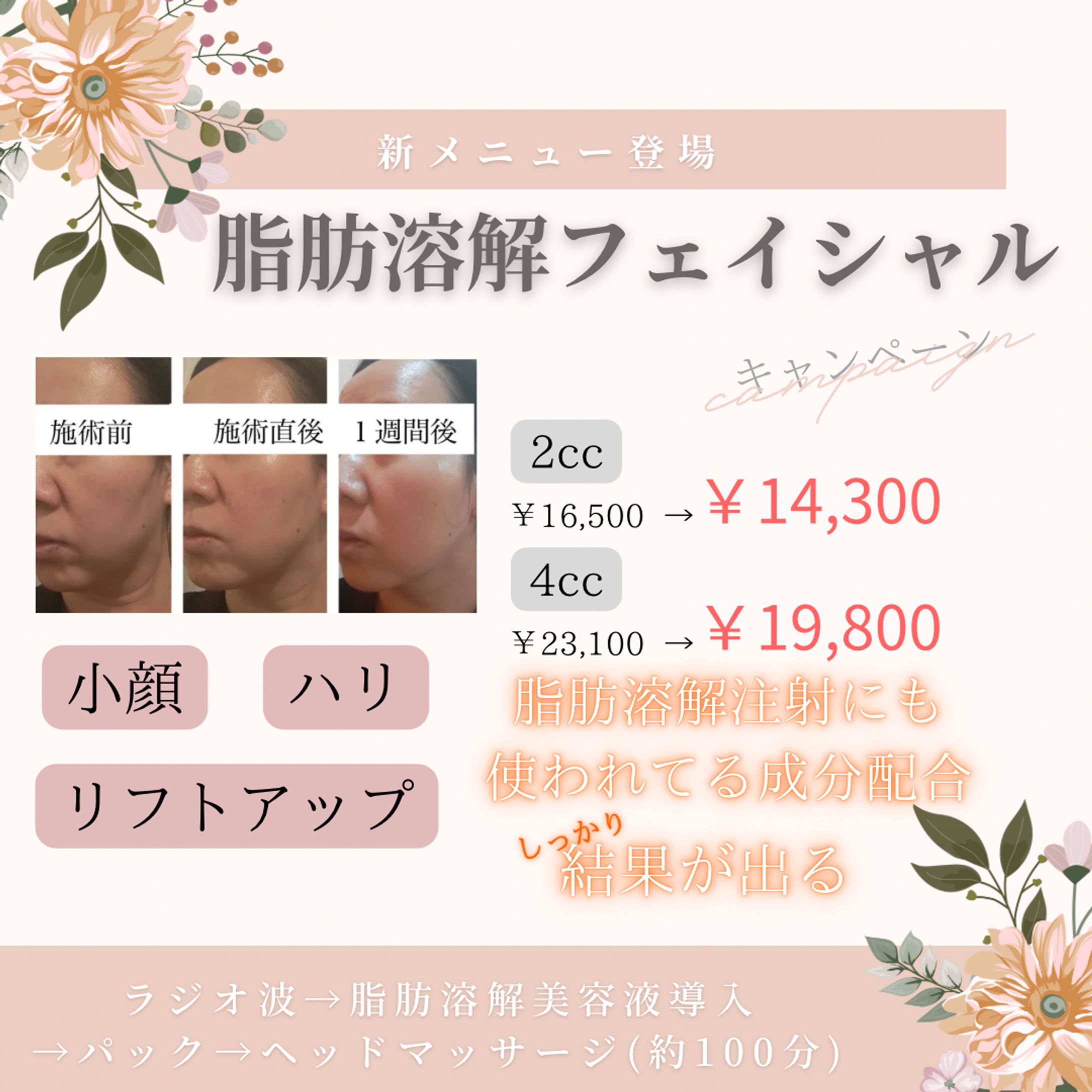 キャンペーン画像-1