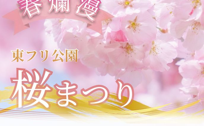 web designer、ファンタジー