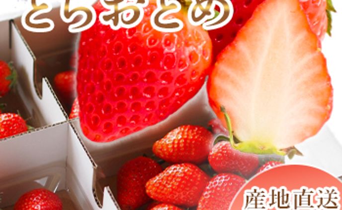 【商品画像】とちおとめ