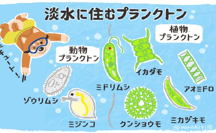 イラスト、aプラン