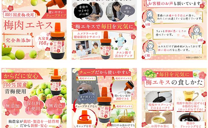 【商品画像】梅エキス
