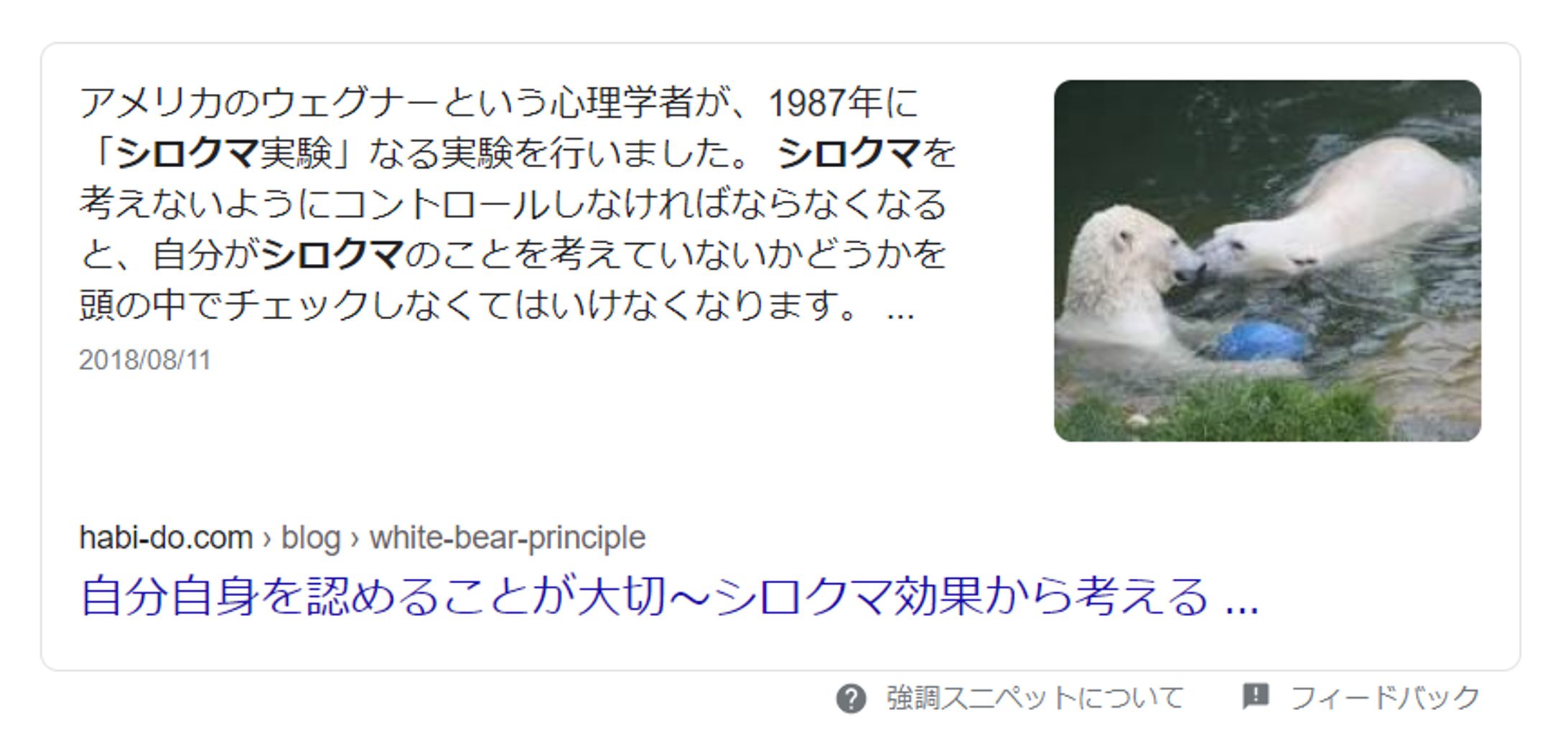 【ライティング】シロクマ効果-1