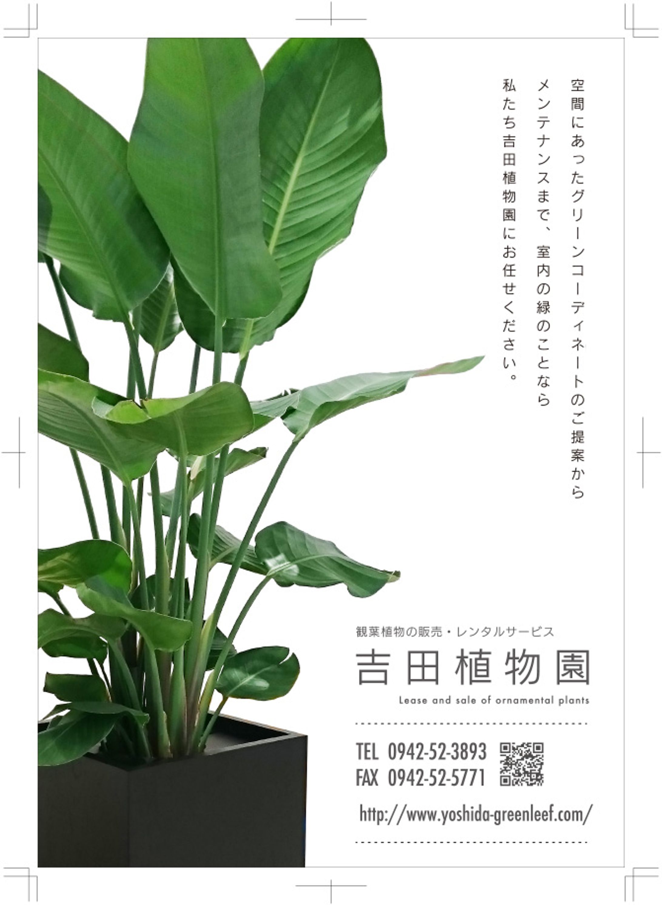観葉植物ショップA５フライヤー-1