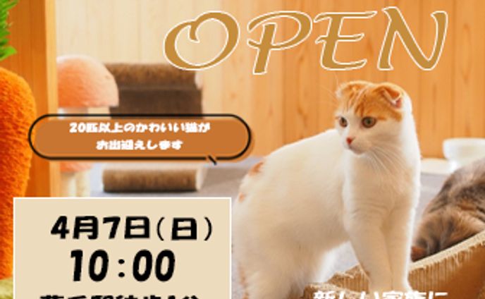 猫カフェバナー