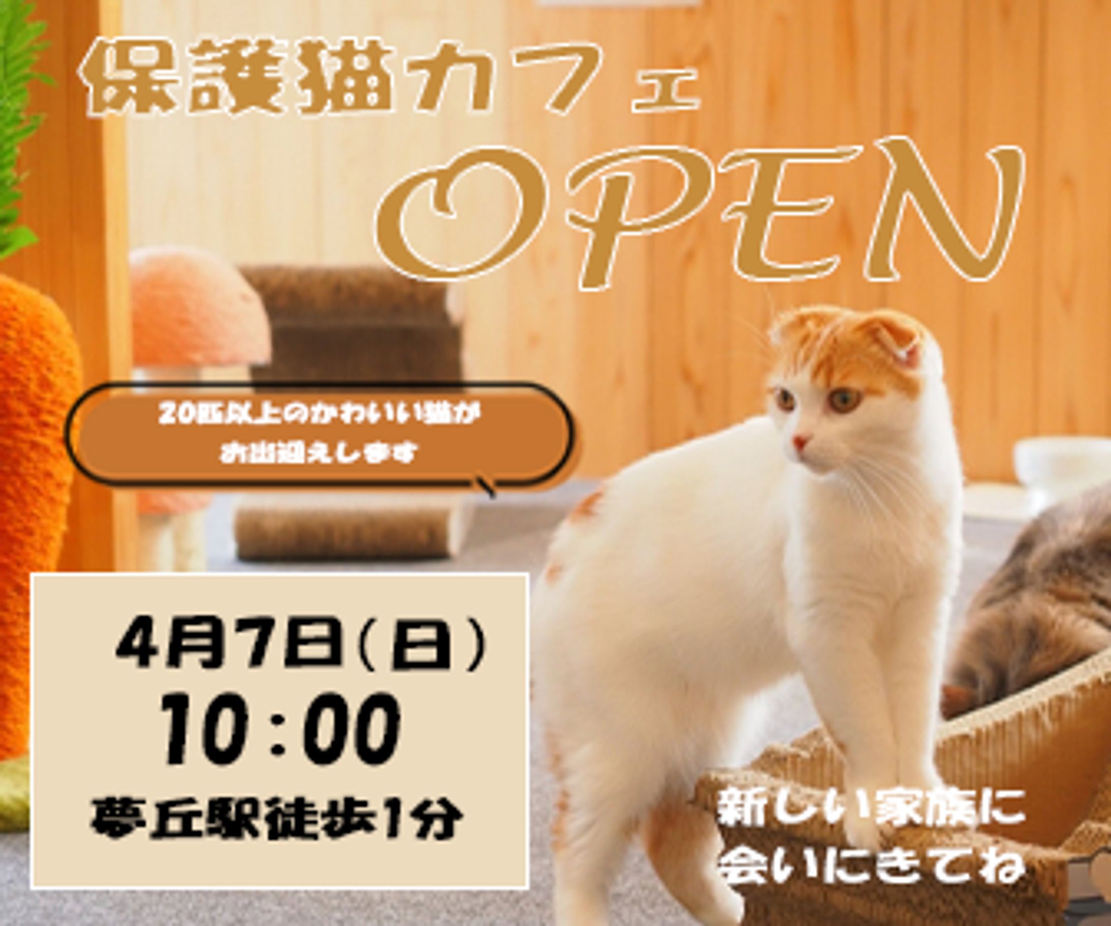 猫カフェバナー-1